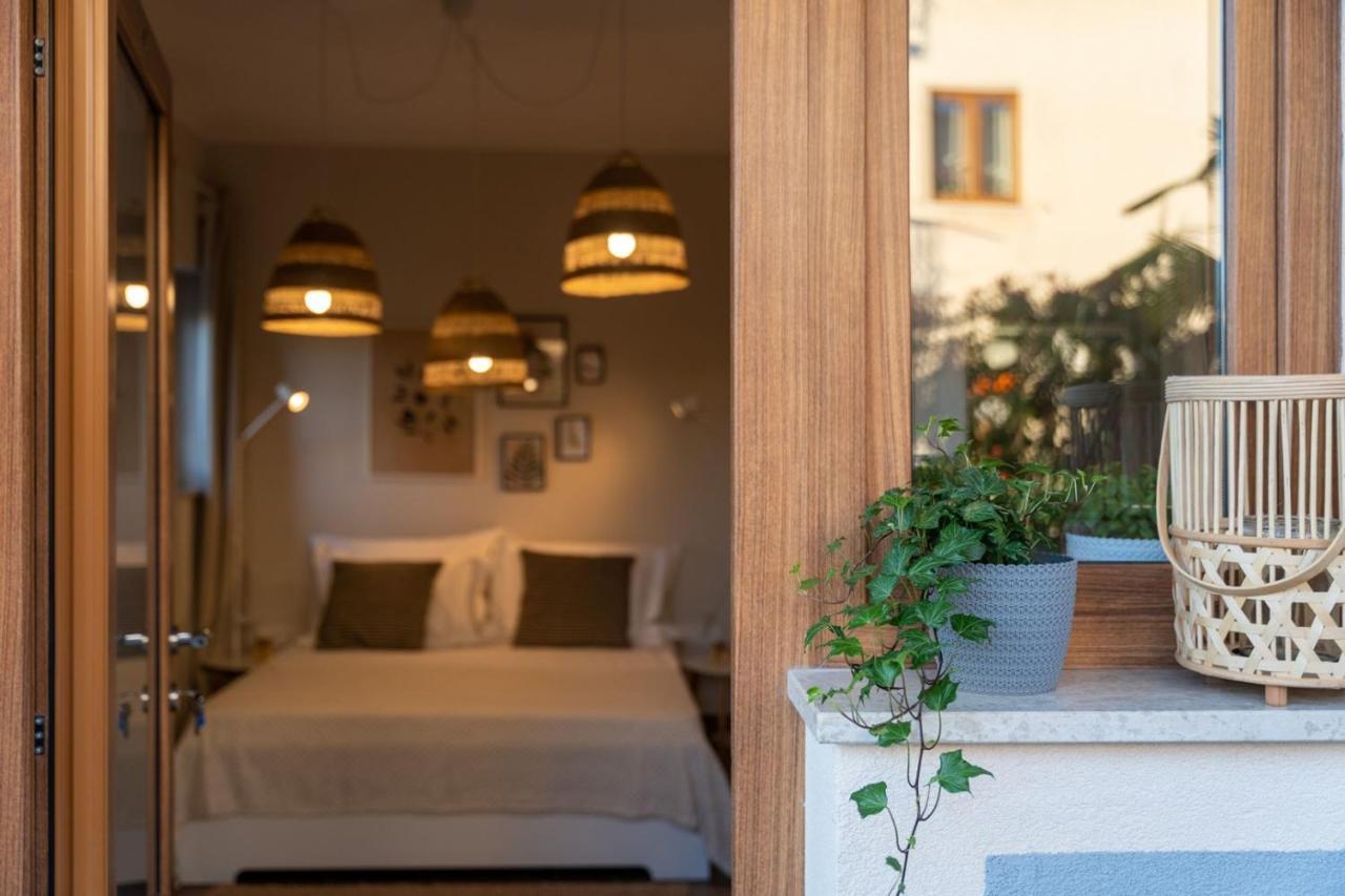 Apartments Alloro By Seeadria Agency Novigrad  Zewnętrze zdjęcie
