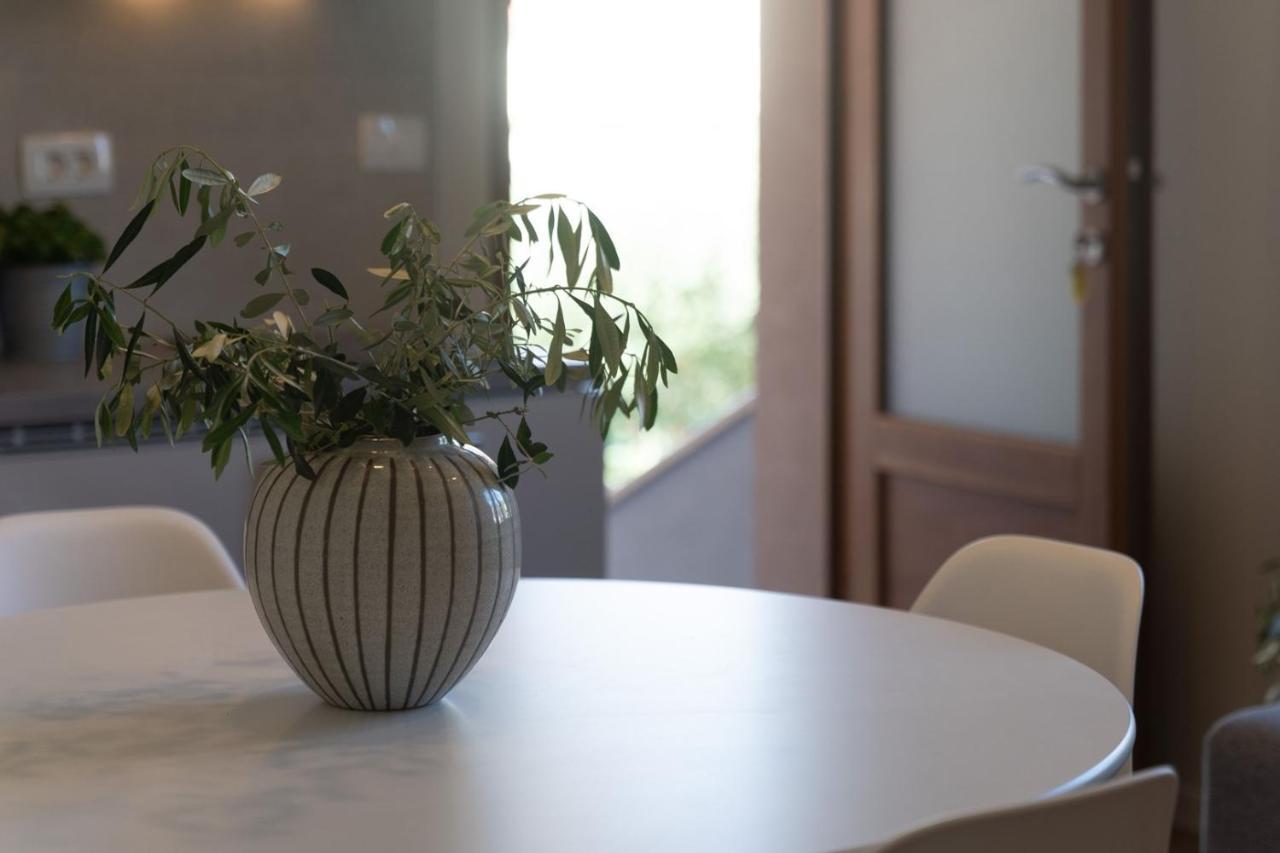 Apartments Alloro By Seeadria Agency Novigrad  Zewnętrze zdjęcie